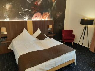 Lobinger Hotel Weisses Ross - Langenau - 5