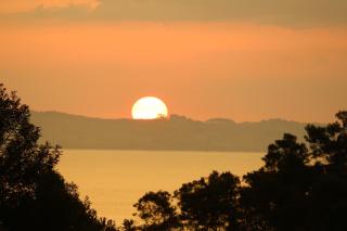 Waiotahi Valley Lodge - 5