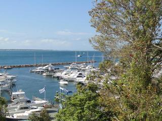 Paradiso, 3,4 Laman Street - Comfortable unit with water views, aircon, solar heated pool and in the heart of town - 9