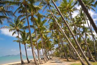 Tranquility Relax Palm Cove - Palm Cove - 6
