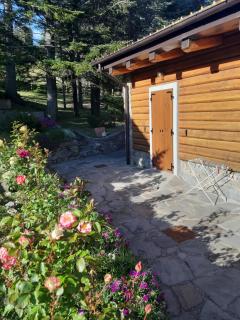 Trout Lodge - Collagna - 9
