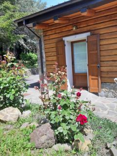 Trout Lodge - Collagna - 8