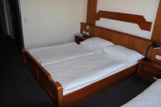 Hotel Michael - Gerasdorf bei Wien - 8