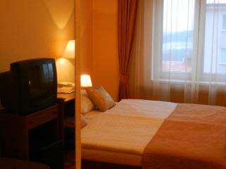 Hotel Tábor - Tábor - 9