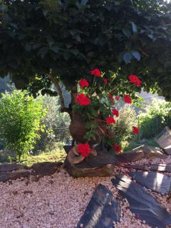 Mountainhome Casa Cancelinha - Soito - 8