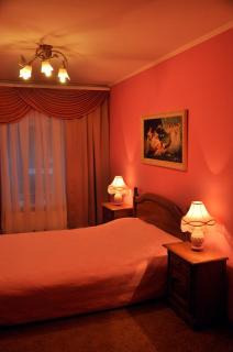 Knaus Apartments - Chernivtsi - 9