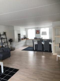 CITY LUX APARTM, 2 FULL BATHROOMs, 2tv - Copenaghen - 0