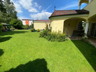 Stadtvilla Auerhahn - Vöcklabruck - 5