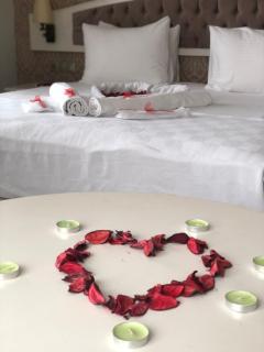 Hanzade Park Hotel - 1