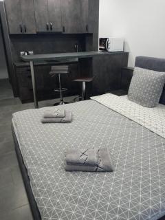 Luxury Central Apartment - Uschhorod - 0