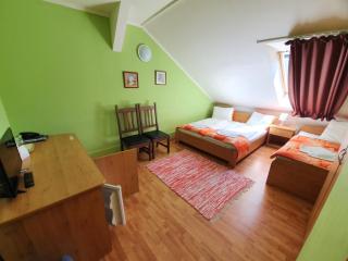 Hotel Senica, Garni - Senica - 1