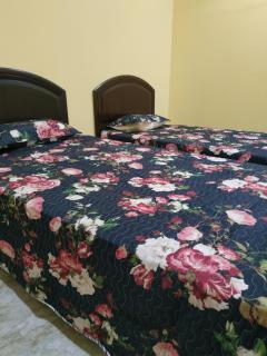 Cikgu CTZ Homestay A - Kampung Raja - 3