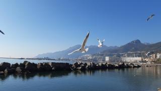 Porta Nova Home - Salerno - 1