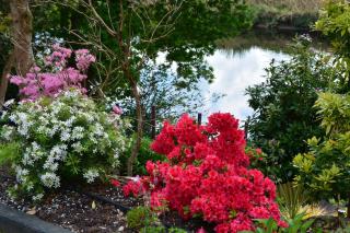 The Grove Lodge Guesthouse - Killorglin - 5