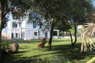 Villa La Conchiglia Rooms - Cala Liberotto - 0