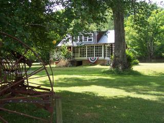 Cabin retreat just off I-77, wonderful experience for 2! - Princeton - 7