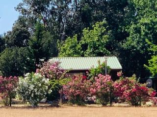 Location du Ranch - Algajola - 7