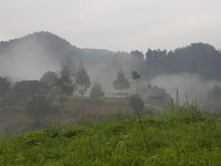 Ciwidey Jungle Camp & Villa - 3