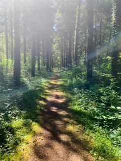 Le Lodge du Pichat - 1