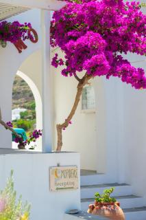 Morpheas Pension Rooms & Apartments - Kamárai - 4