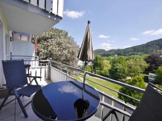 Ferienwohnung M am Kurpark**** inkl. MeineCard+ - Willingen - 5