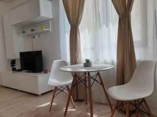 Palace Central Suites - Iaşi - 1