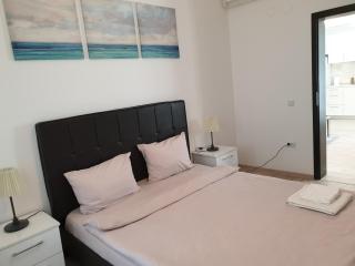Palace Central Suites - Iaşi - 4