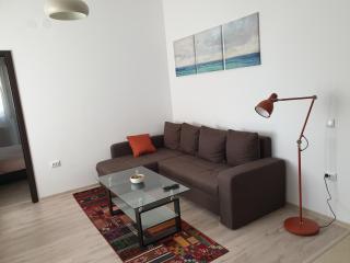 Palace Central Suites - Iaşi - 2