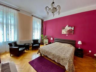 Casa Balcescu - Brasov - 7