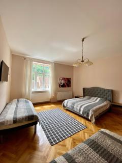 Casa Balcescu - Brasov - 3