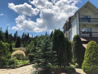 Smerekovyi Dvir - Zhdenievo - 1