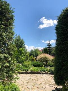 Smerekovyi Dvir - Zhdenievo - 3