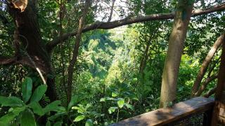 Le lodge origin - 8