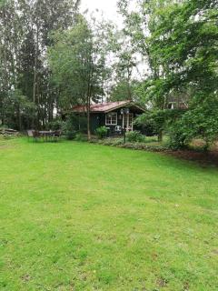 Zizania - Noord-Sleen - 7