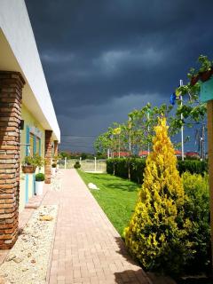 Casa Ana - Vama Veche - 7