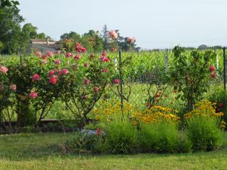 Le Clos des Rosiers - 9