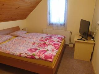 Apartma Horvat - Bohinj - 1