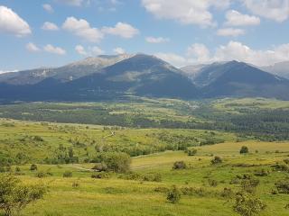 Chalet Rouge Sorbier - Font-Romeu - 1