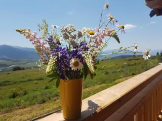 Chalet Rouge Sorbier - Font-Romeu - 4