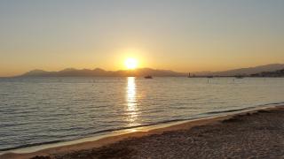 Appartement Cannes à quelques pas de la mer, de la Croisette et du Palais des Festivals - Cannes - 4