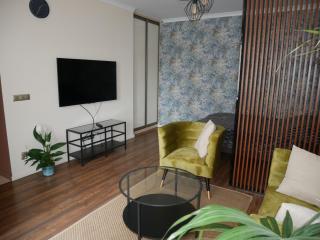 Apartament Złoty w Centrum Miasta - 9