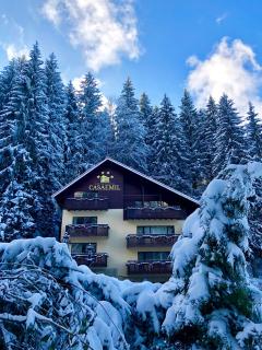 Boutique Hotel Casa Emil - Poiana Brasov - 9