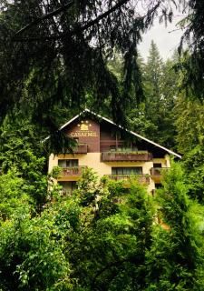 Boutique Hotel Casa Emil - Poiana Brasov - 7