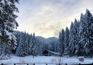 Boutique Hotel Casa Emil - Poiana Brasov - 8