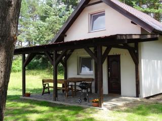 Domek letniskowy nad jeziorem Wersminia - Martiany - 5