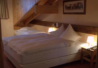 Le Chamois - Les Diablerets - 9