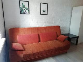 Mini zaciszny apartament w industrialnym stylu - Łódź - 6