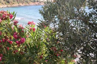 Urga Butik Otel & Restaurant - Gulluk - 3