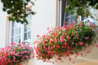 Hotel & Gasthaus Zum Eichenkranz - Luckenwalde - 8