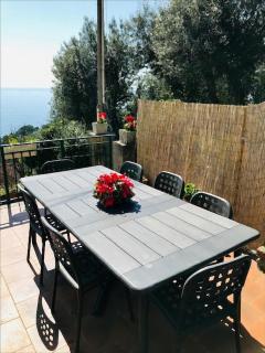 Cav Gli Ulivi di Bogliasco - Bogliasco - 3